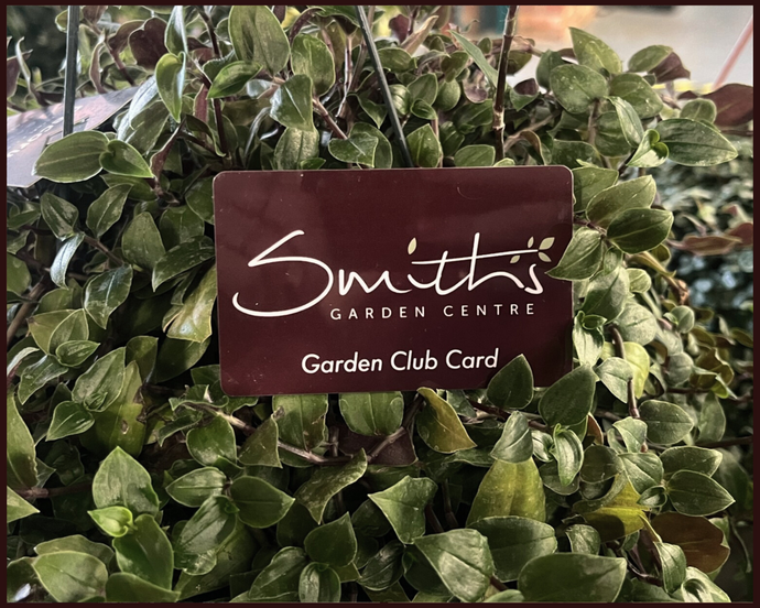 Have you got a Smith's Loyalty Card?