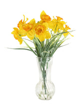 Load image into Gallery viewer, Ruffled Daffodil in Trumpet Vase🌼
