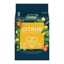 Load image into Gallery viewer, Westland Citrus Potting Mix 🍋‍🟩
