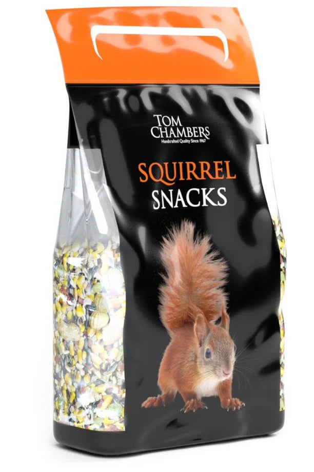 Squirrel Snacks